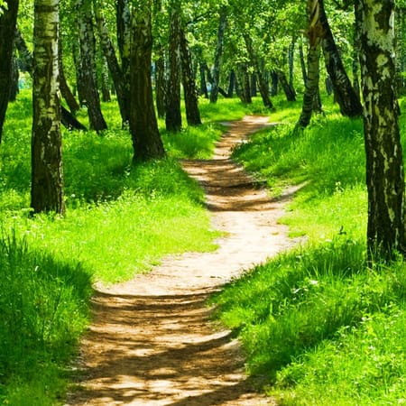 Image of: The start of a Blog